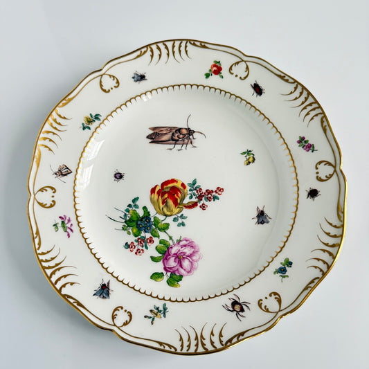 Antique KPM Berlin hand-painted porcelain soup plate featuring a floral bouquet, insects, and rich gold detailing, late 19th century.