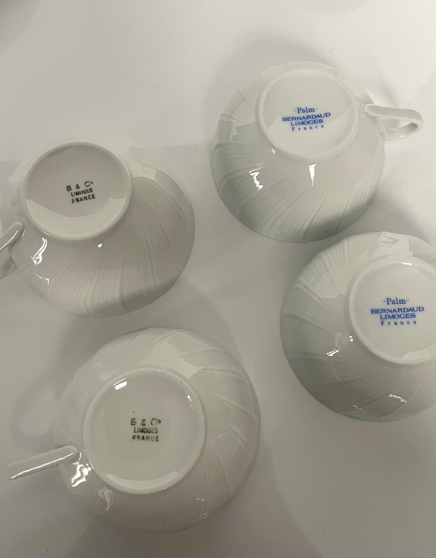 ベルナルド ティーカップとソーサー6セット モデル:Palm (パルム)