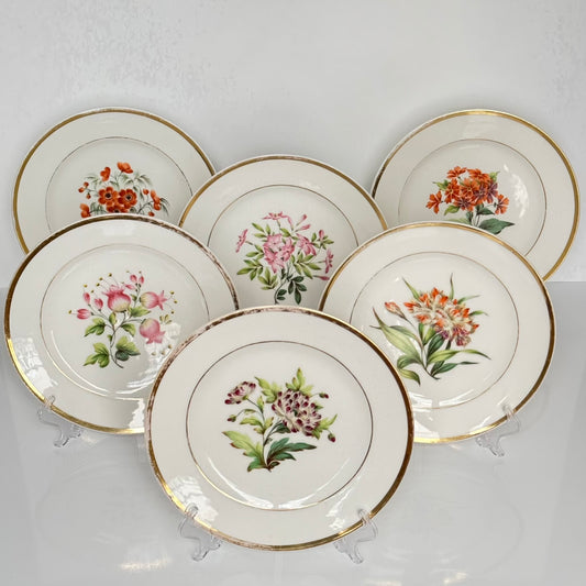 English: Set of six Schoelcher porcelain plates, early 19th century. Each plate features a different hand-painted flower motif. Signed "Schoelcher Paris". ; 日本語: 19世紀初期のシュルシェール製磁器プレート6枚セット。それぞれ異なる手描きの花模様が描かれています。サイン「Schoelcher Paris」。 ; Français: Ensemble de six assiettes en porcelaine de Schoelcher, début XIXᵉ siècle. Chaque assiette présente un motif floral peint à la main différent. Signé "Schoelcher Paris".