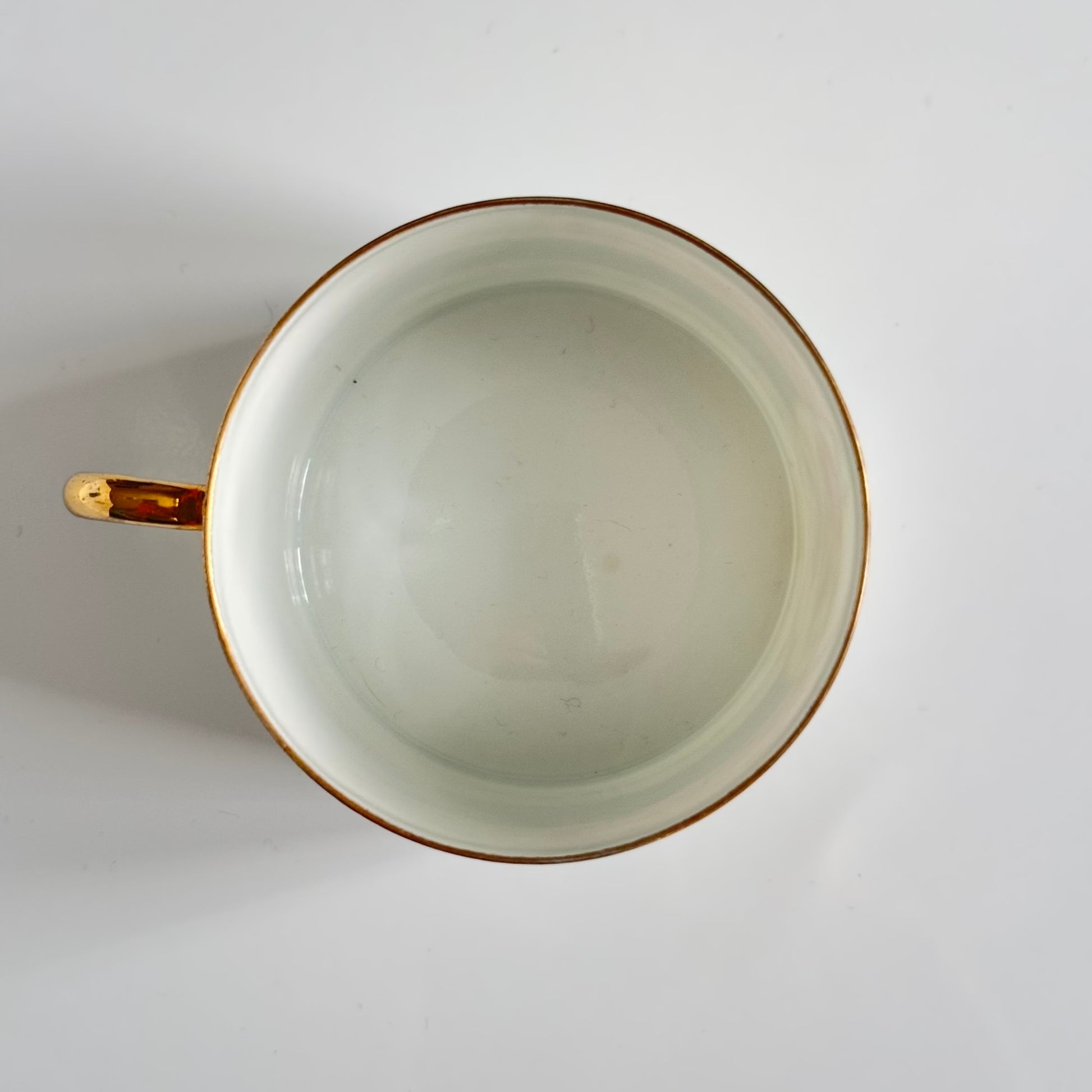 Porcelain cup and saucer set inspired by 18th-century Sèvres style, with delicate pink and green hues and gilded details.