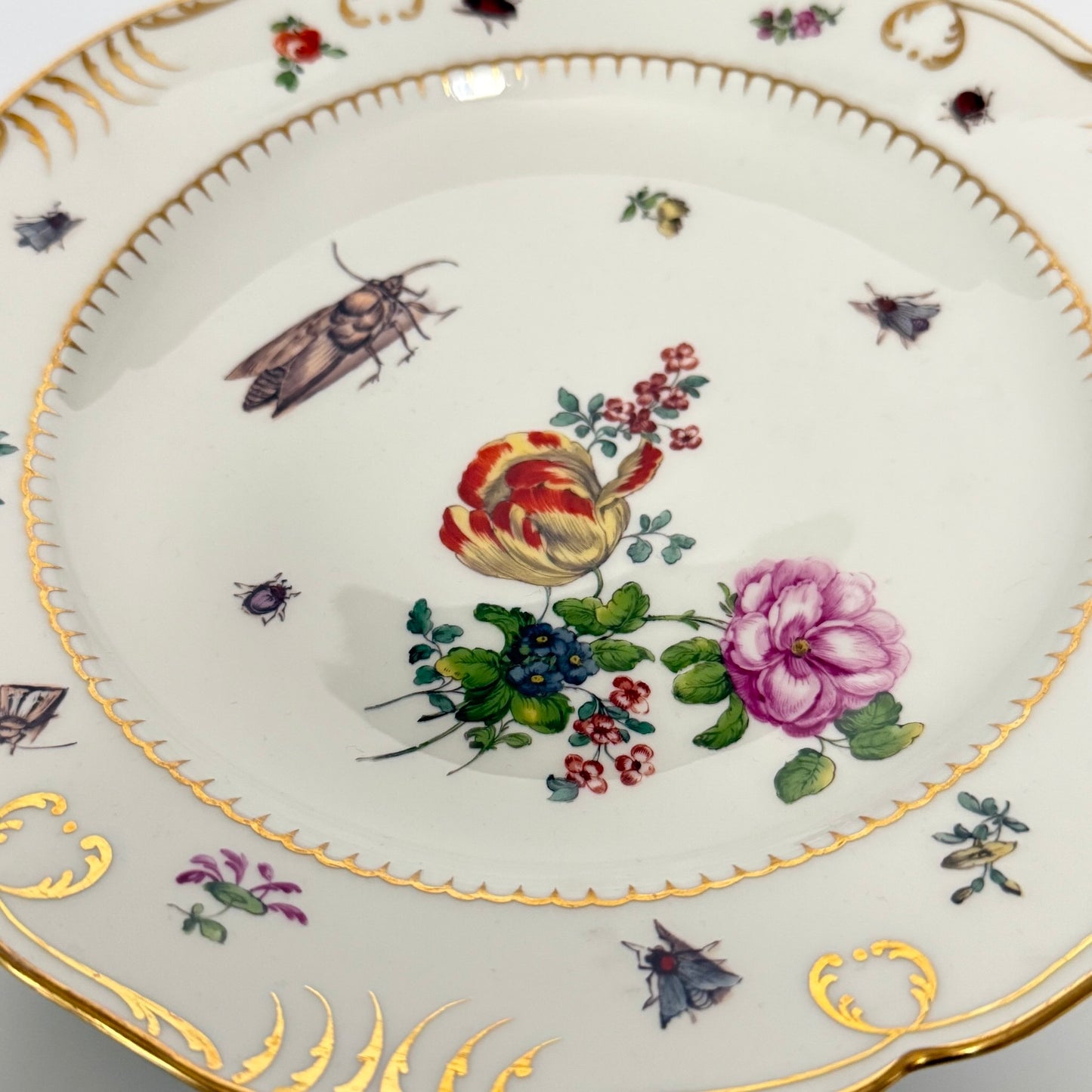 Antique KPM Berlin hand-painted porcelain soup plate featuring a floral bouquet, insects, and rich gold detailing, late 19th century.