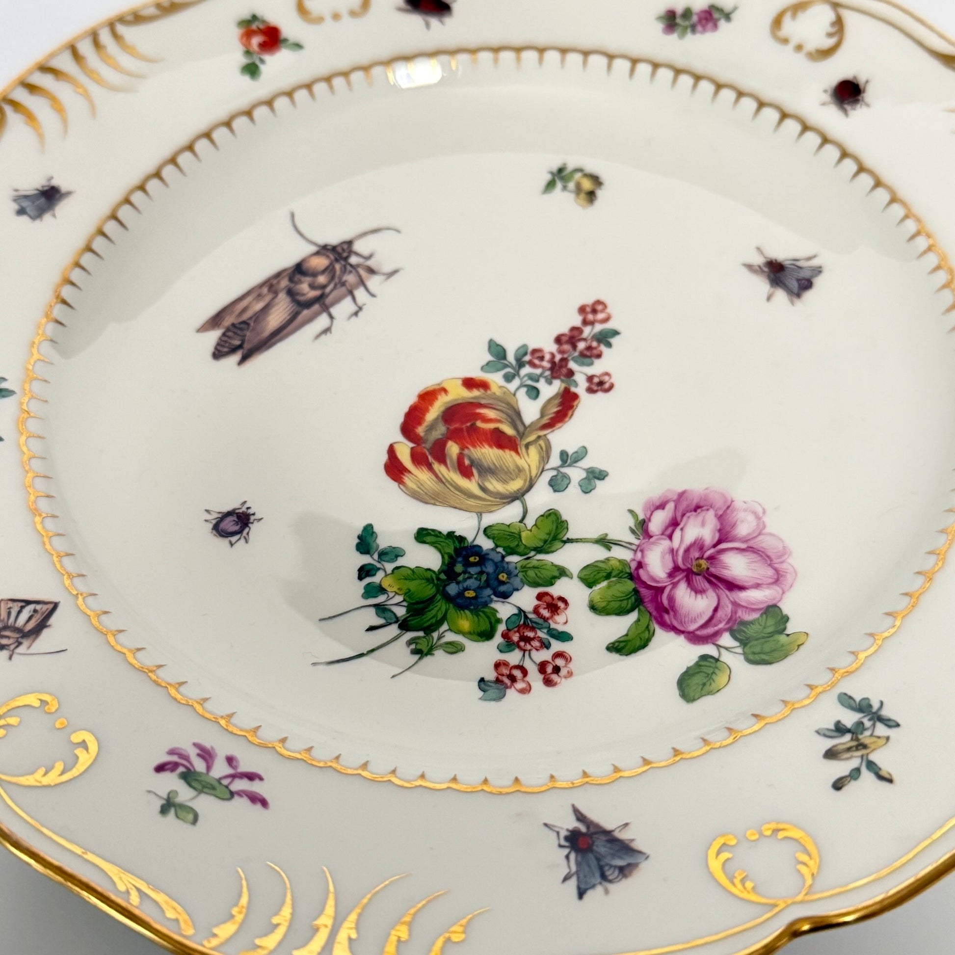 Antique KPM Berlin hand-painted porcelain soup plate featuring a floral bouquet, insects, and rich gold detailing, late 19th century.