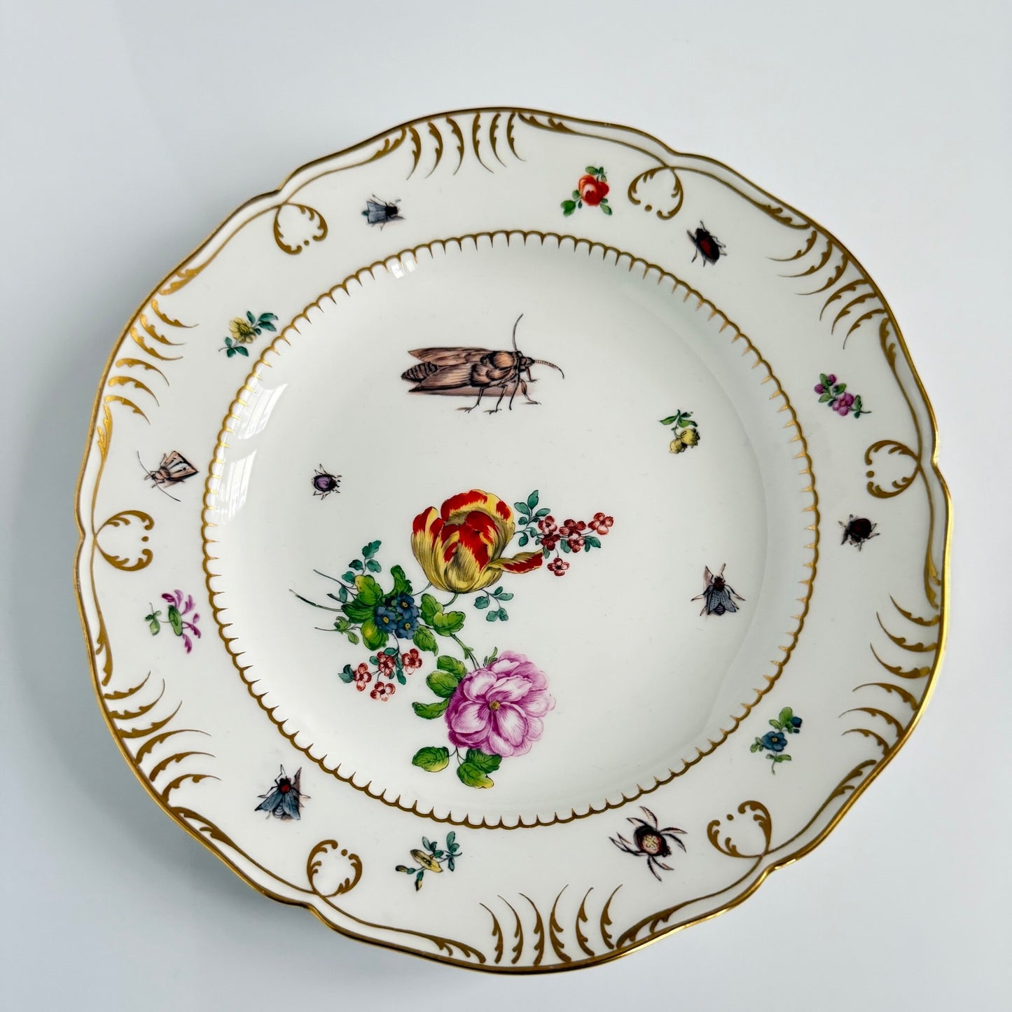 Antique KPM Berlin hand-painted porcelain soup plate featuring a floral bouquet, insects, and rich gold detailing, late 19th century.
