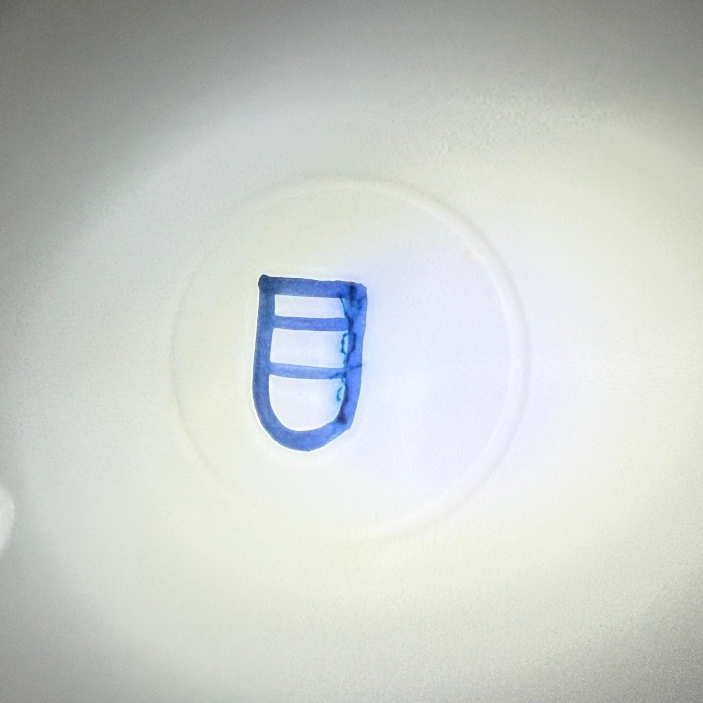 アンティーク KPMベルリン スーププレート – 手描きの花と昆虫