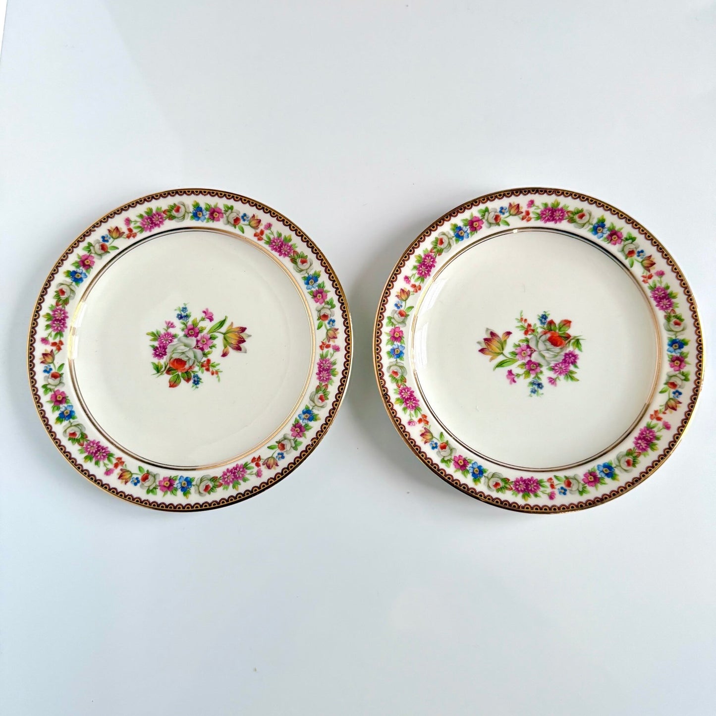 Raynaud Limoges floral porcelain dessert plates, set of two, early 20th century, featuring a central flower bouquet, floral garland border, and triple gilded rims.