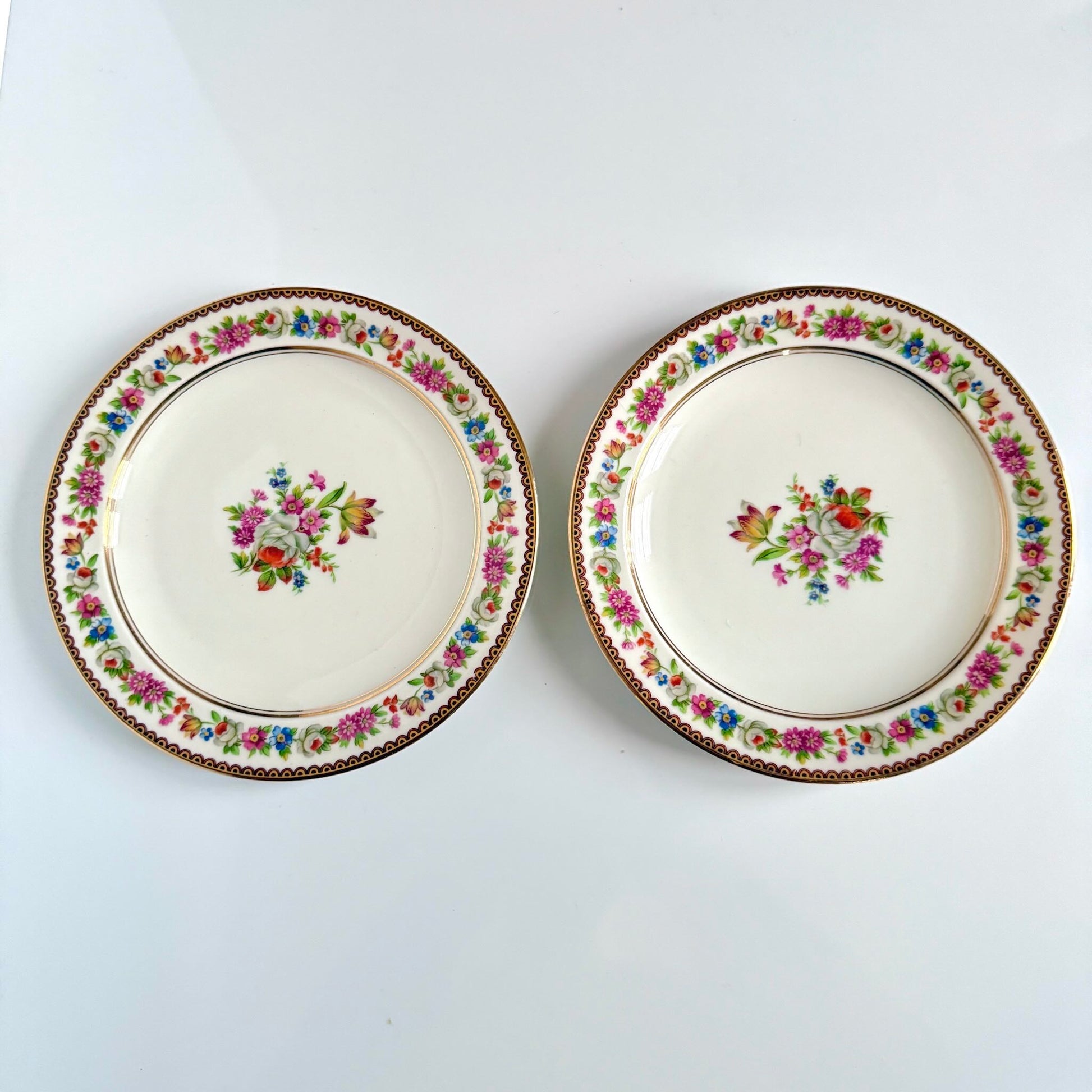 Raynaud Limoges floral porcelain dessert plates, set of two, early 20th century, featuring a central flower bouquet, floral garland border, and triple gilded rims.