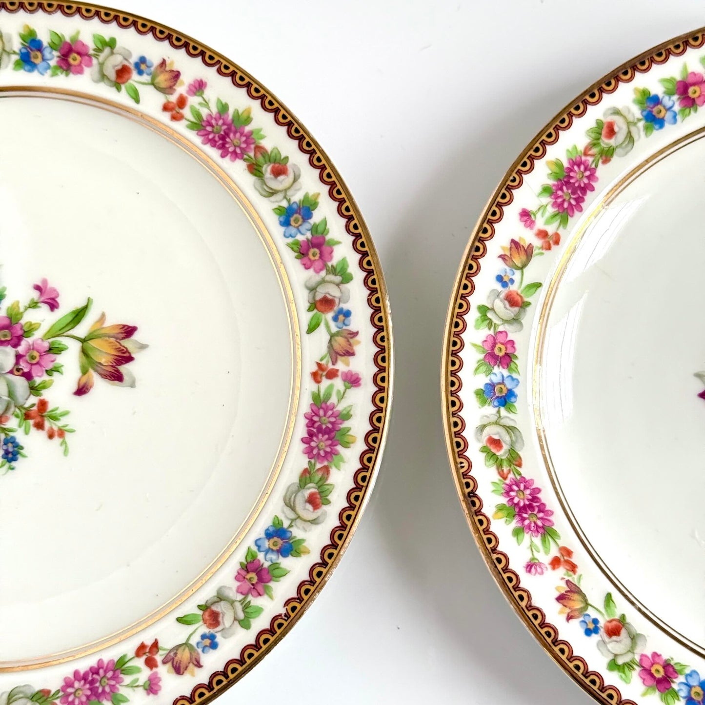 Raynaud Limoges floral porcelain dessert plates, set of two, early 20th century, featuring a central flower bouquet, floral garland border, and triple gilded rims.
